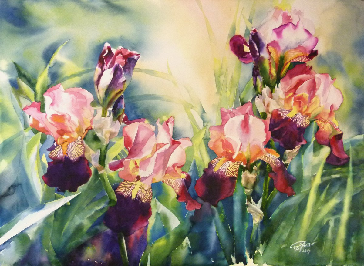 Impressionistic Botanical Watercolour By Yurii Pashkov, 30 X 22", Pink Irises#3, Original Artwork