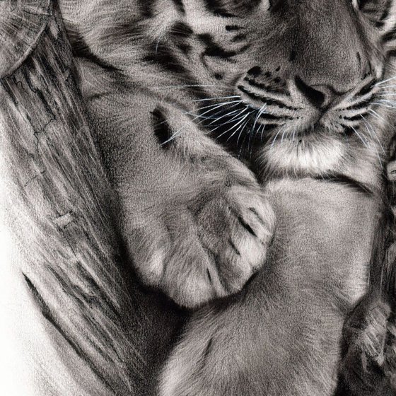 Tiger Cub Marwell