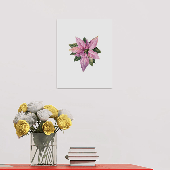 Poinsettia - Christmas flower Painting