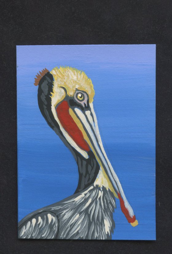 ACEO ATC Original Miniature Painting Brown Pelikan Wildlife Bird Art-Carla Smale