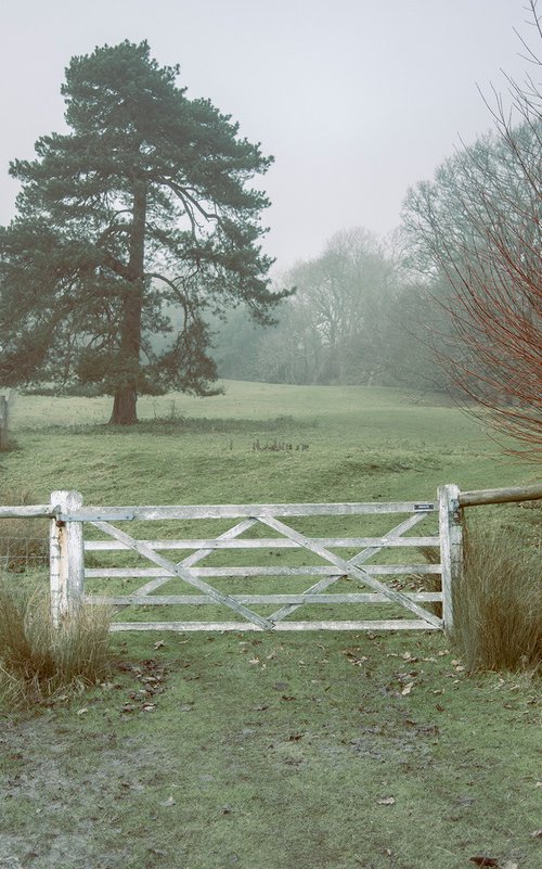 Five Bar Gate by Adam Regan