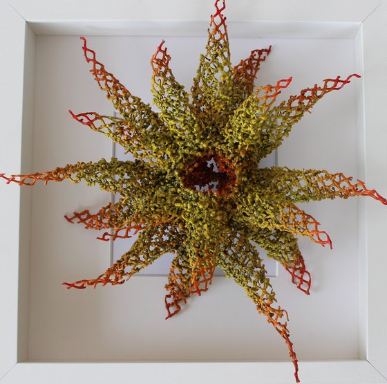 "Free Swimming Sea Lily"