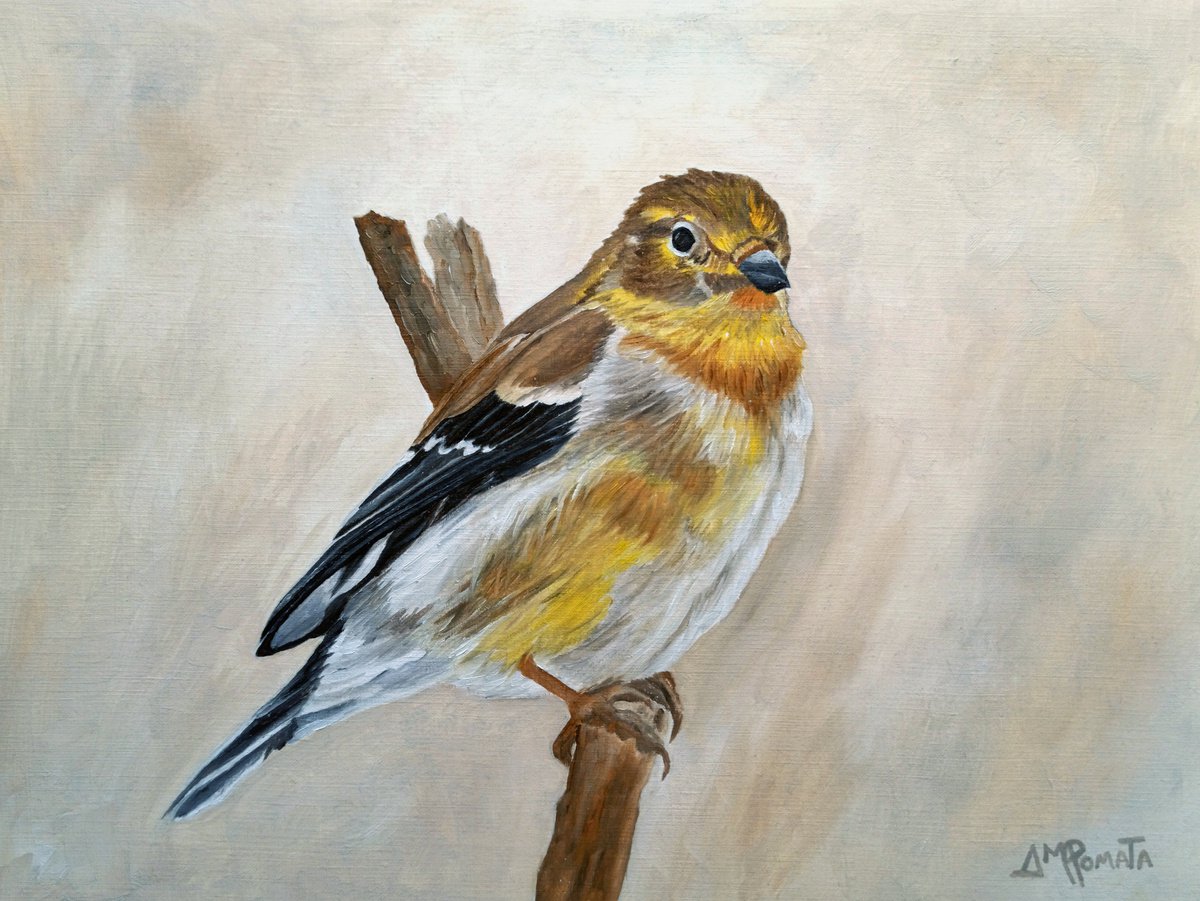 Impressionistic Animal Oil Painting By Angeles M. Pomata, 13 X 10, American Goldfinch Portrait, Original Artwork
