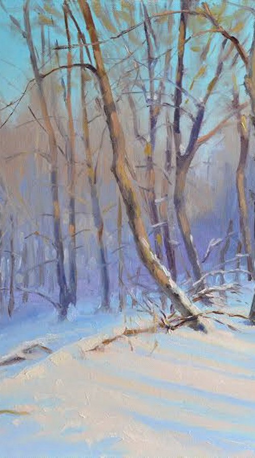 Winter by Ruslan Kiprych