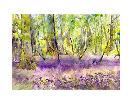 Bluebell wood - Original watercolour painting