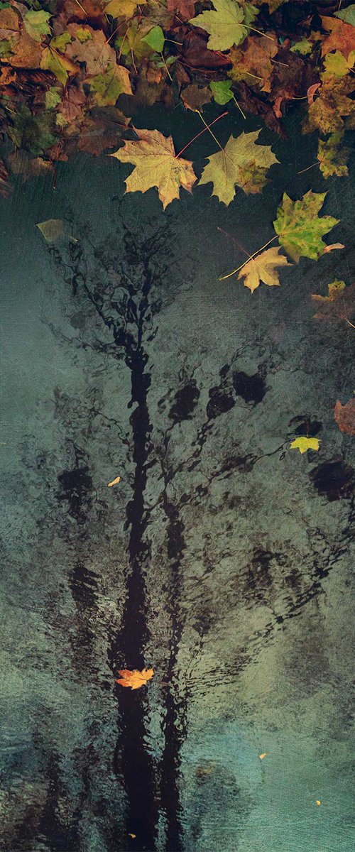 Gone with the November rain by Valerix