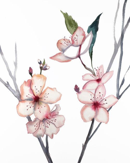 Cherry Blossom No. 21 by Elizabeth Becker