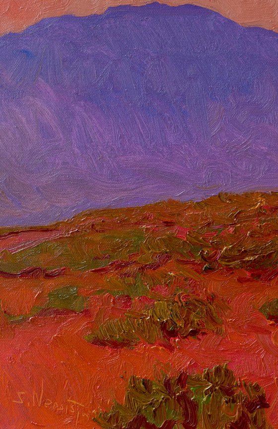 Warm Dusk of the Desert