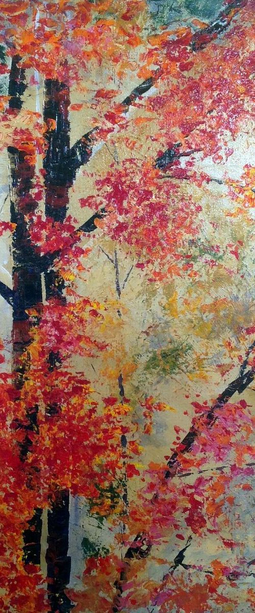 A BLAZE OF COLOUR by BARBARA  HARLOW