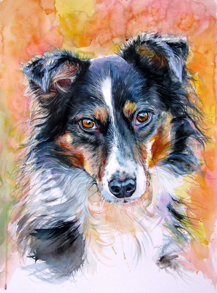Cute dog II /70 x 50 cm/ by Kov�cs Anna Brigitta