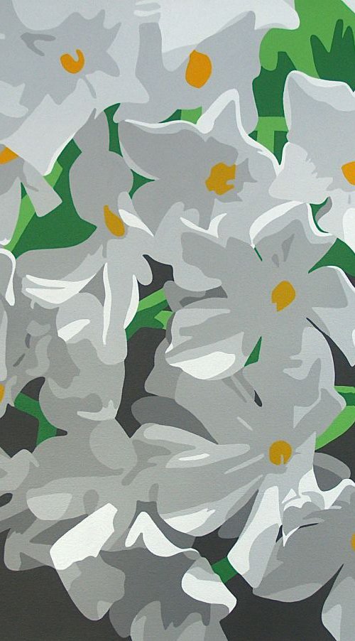 White Flocks by Susan Porter
