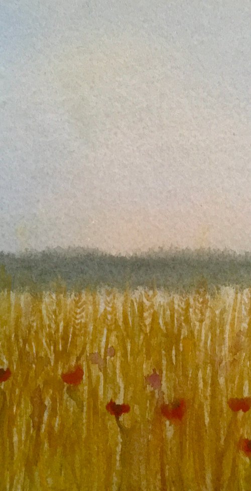 Cornfields, poppies of Summer by Samantha Adams