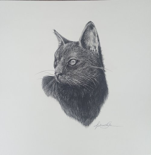 Black cat by Maja Tulimowska - Chmielewska