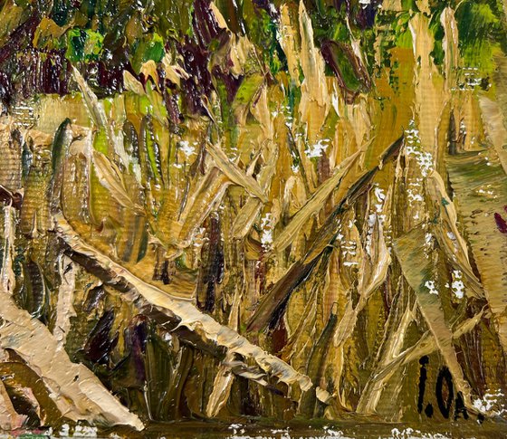 Where the reeds whisper