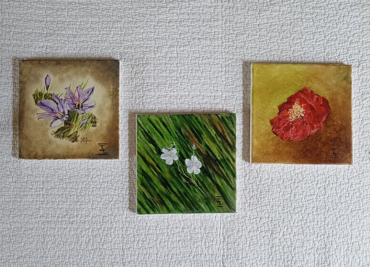 Impressionistic Botanical Oil Painting By Isabelle Lucas, 8 X 8, Flowers, Original Artwork