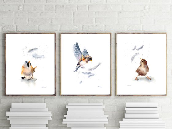 Birds And Feathers - triptych