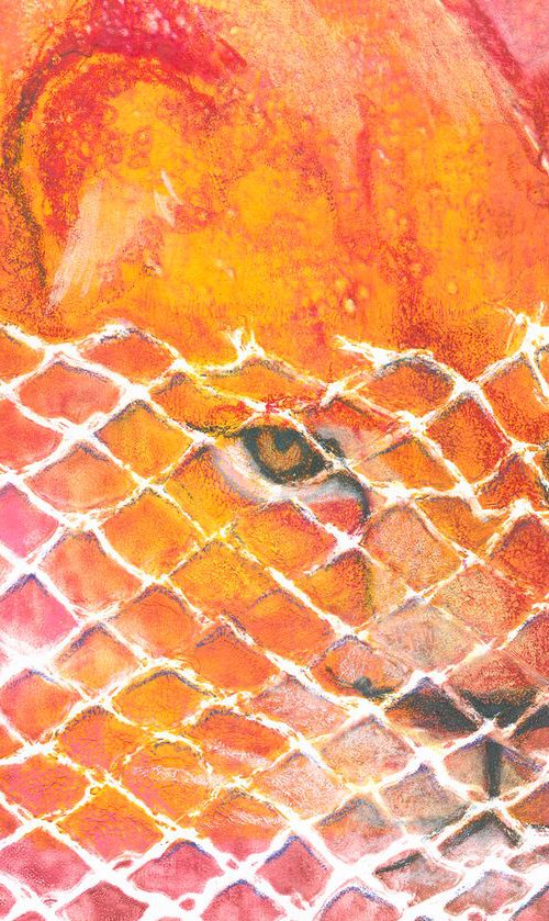 ZOO 2 - Lion by Hilde Hoekstra