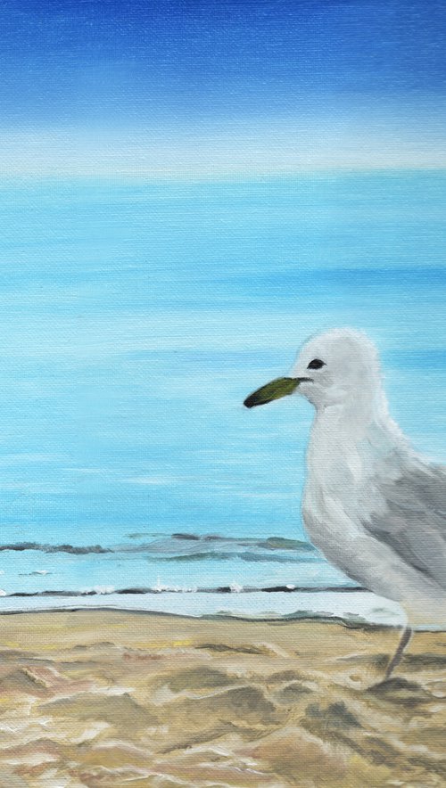 Seagull by James Potter