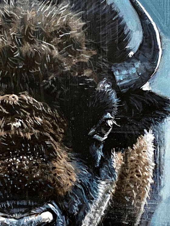 Silence in the Storm