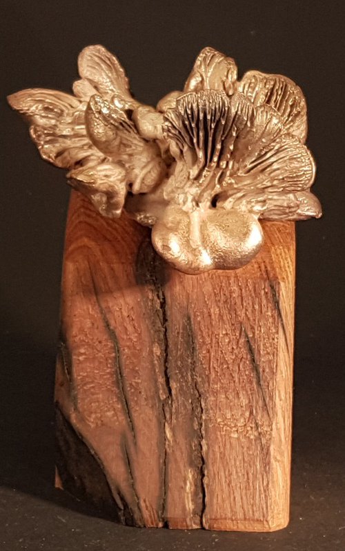 Delicate Mushrooms on Oak by Wichert van Engelen