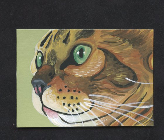 ACEO ATC Original Miniature Painting Bengal Cat Pet Feline Art-Carla Smale