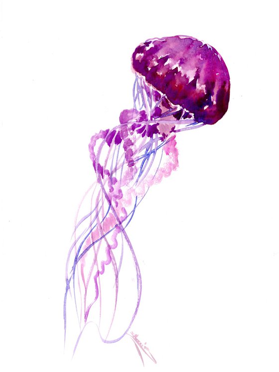 Jellyfish