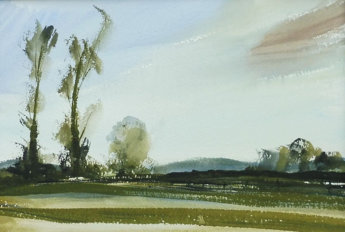 GREEN MEADOWS SUMMER LANDSCAPE, Clent, Worcs. Original Watercolour with mount (mat). by Tim Taylor