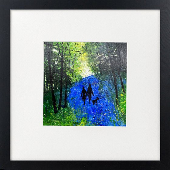 Our Bluebell walk