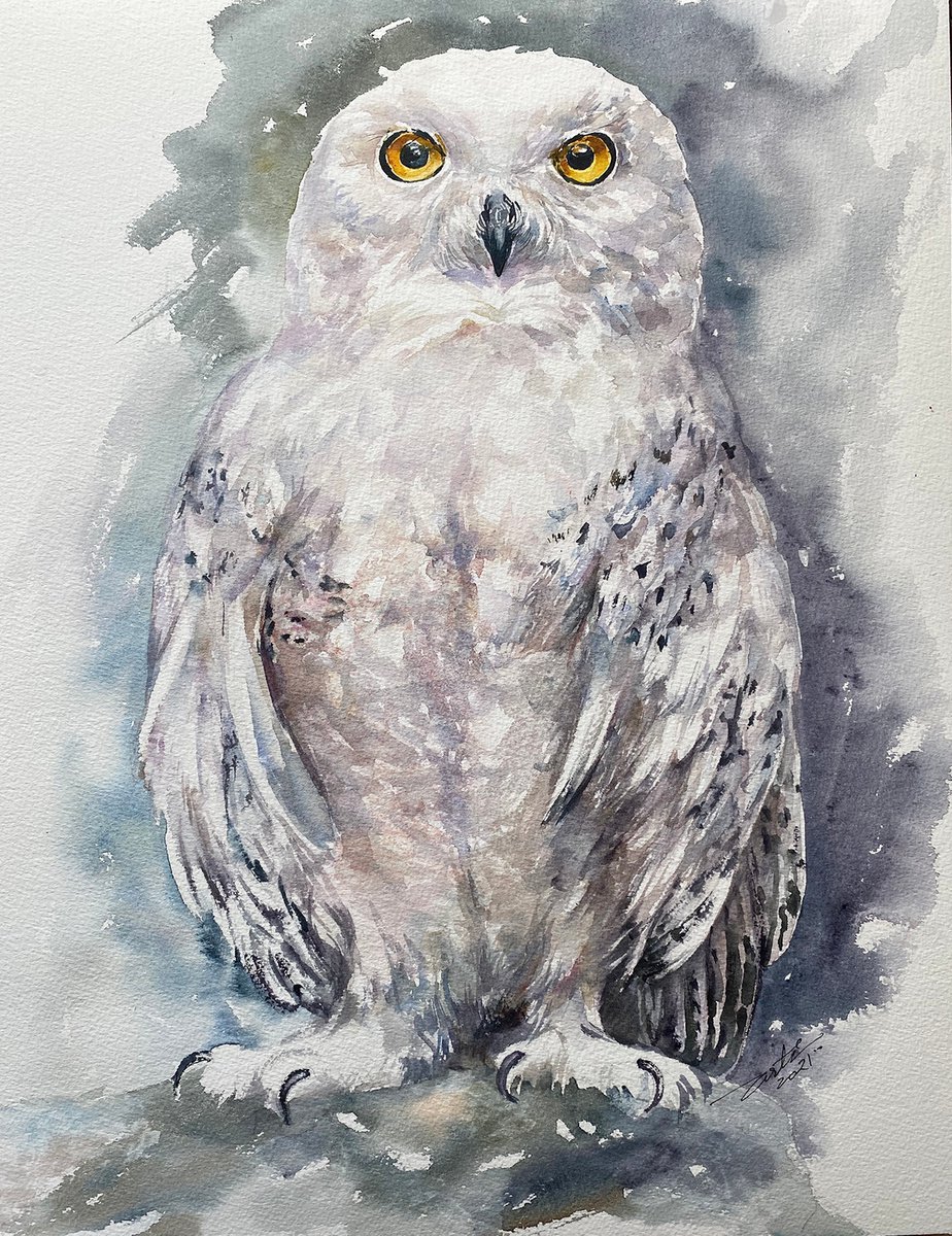 Photorealistic Animal Watercolour By Arti Chauhan, 12 X 16, Snow Owl Cool Kevin, Original Artwork