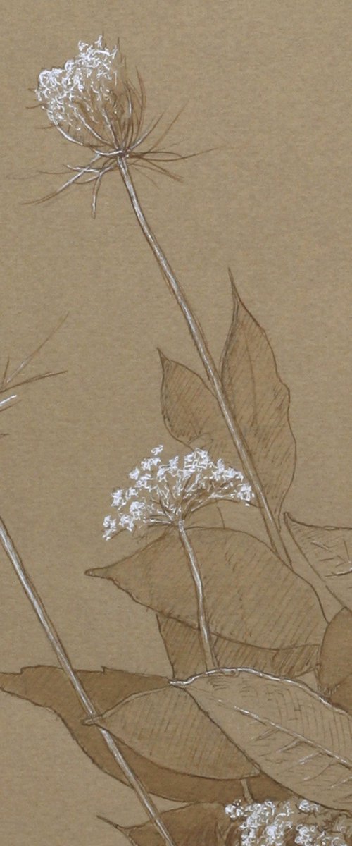 Gathered Plants by John Fleck