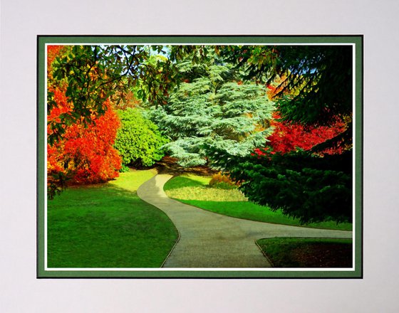 Path into the Autumn Forest