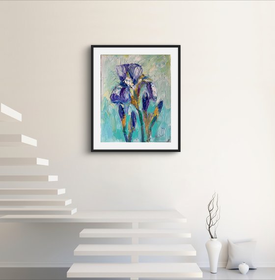 Iris