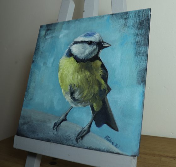 Lockdown's Morning Chorus Series - Blue Tit 2