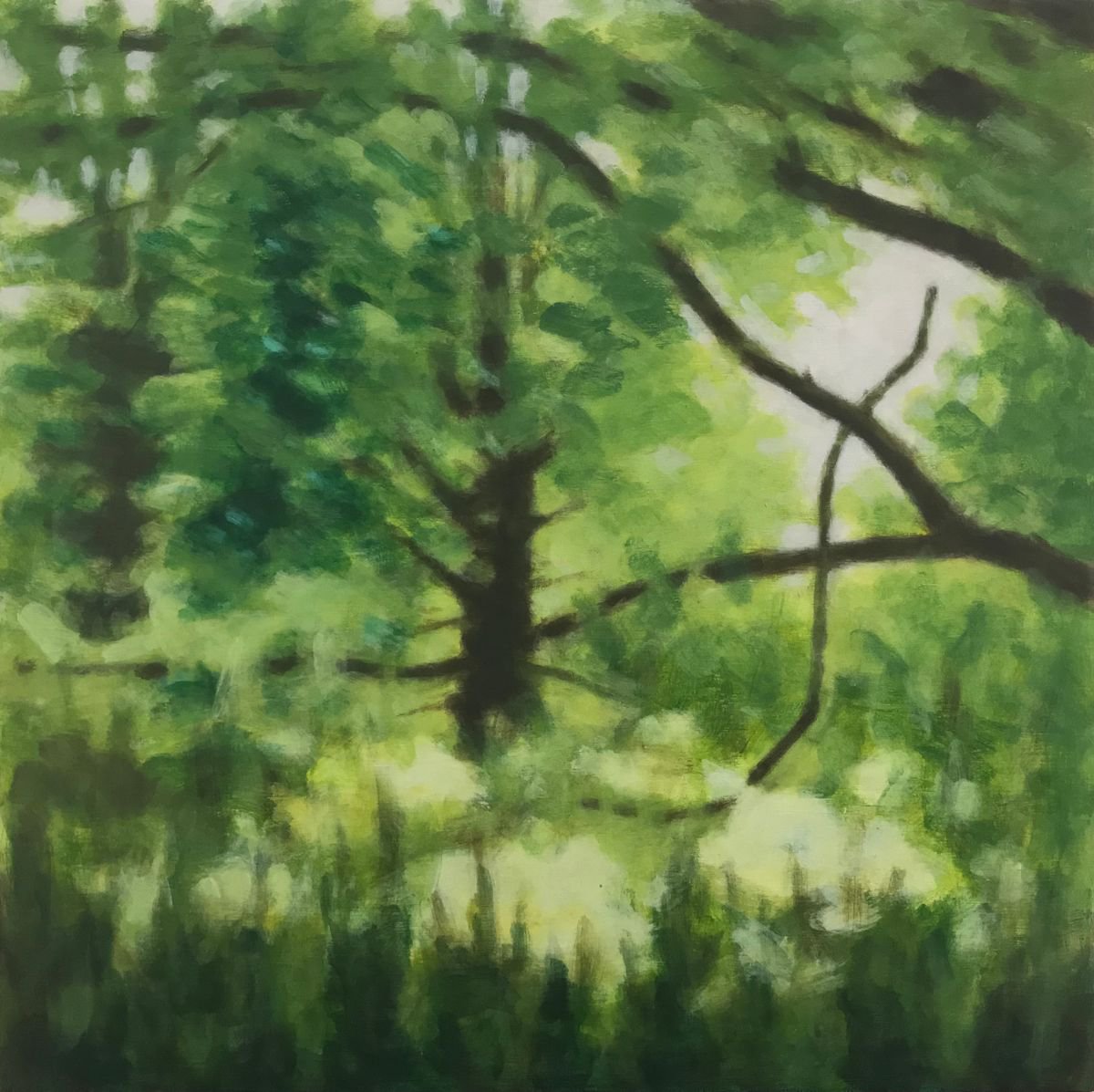 Impressionistic Landscape Acrylic Painting By Hugo Lines, 24 X 24, Trees By The River Exe, Original Artwork