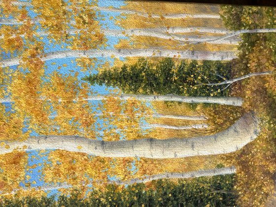 Golden Aspens