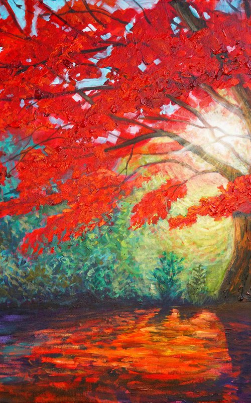The Radiant Maple by Amanda Dagg