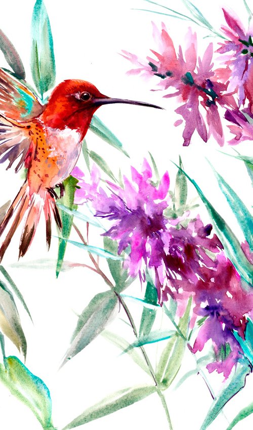 Allen's Hummingbird and Sage Flowers by Suren Nersisyan