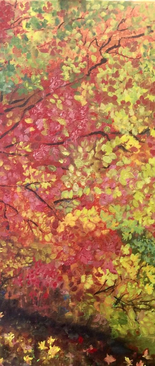 autumn leaves by Elisabetta Mutty