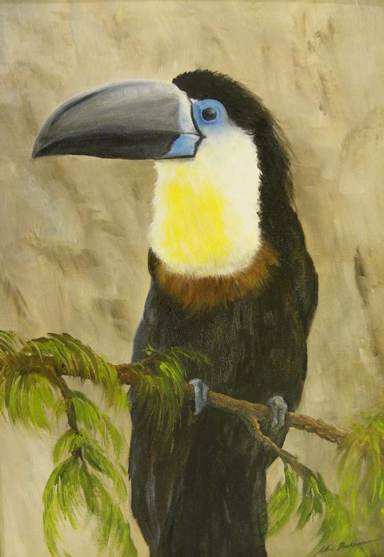 TOUCAN