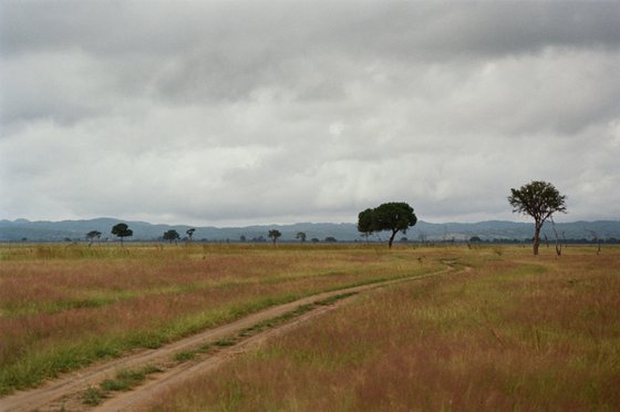 Tanzania's road
