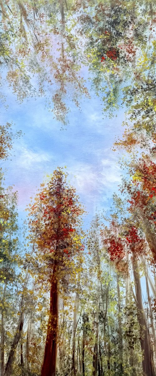 Where the Sky Begins by Tanja Frost
