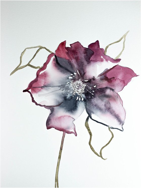 Hellebore No. 3