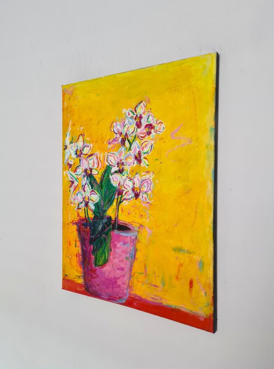 Orchids