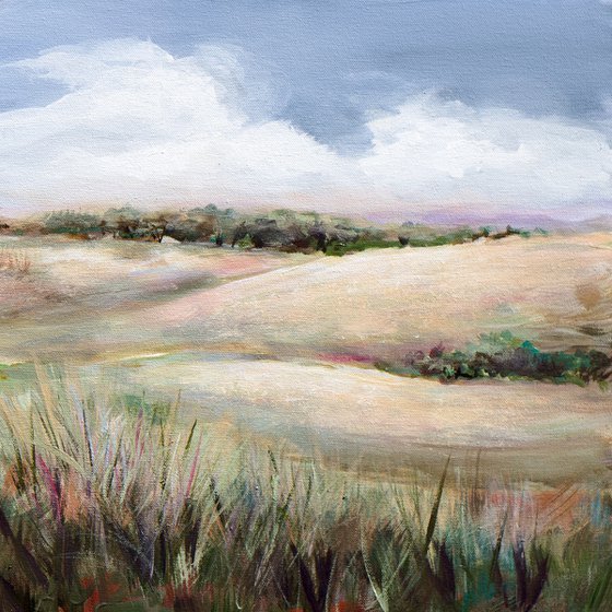 Summer in the Foothills