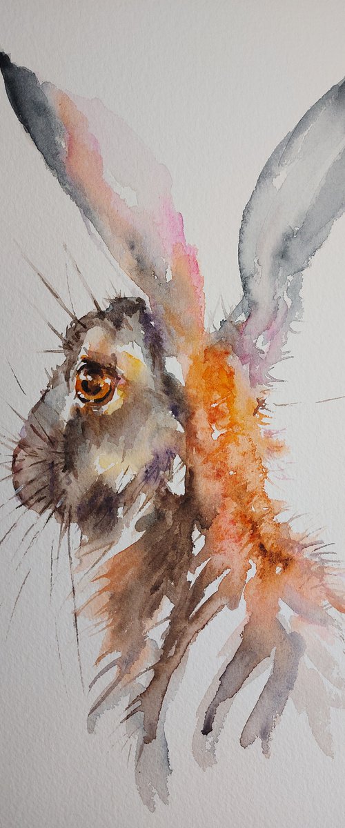 Watercolour Hare portrait by Sue  Green