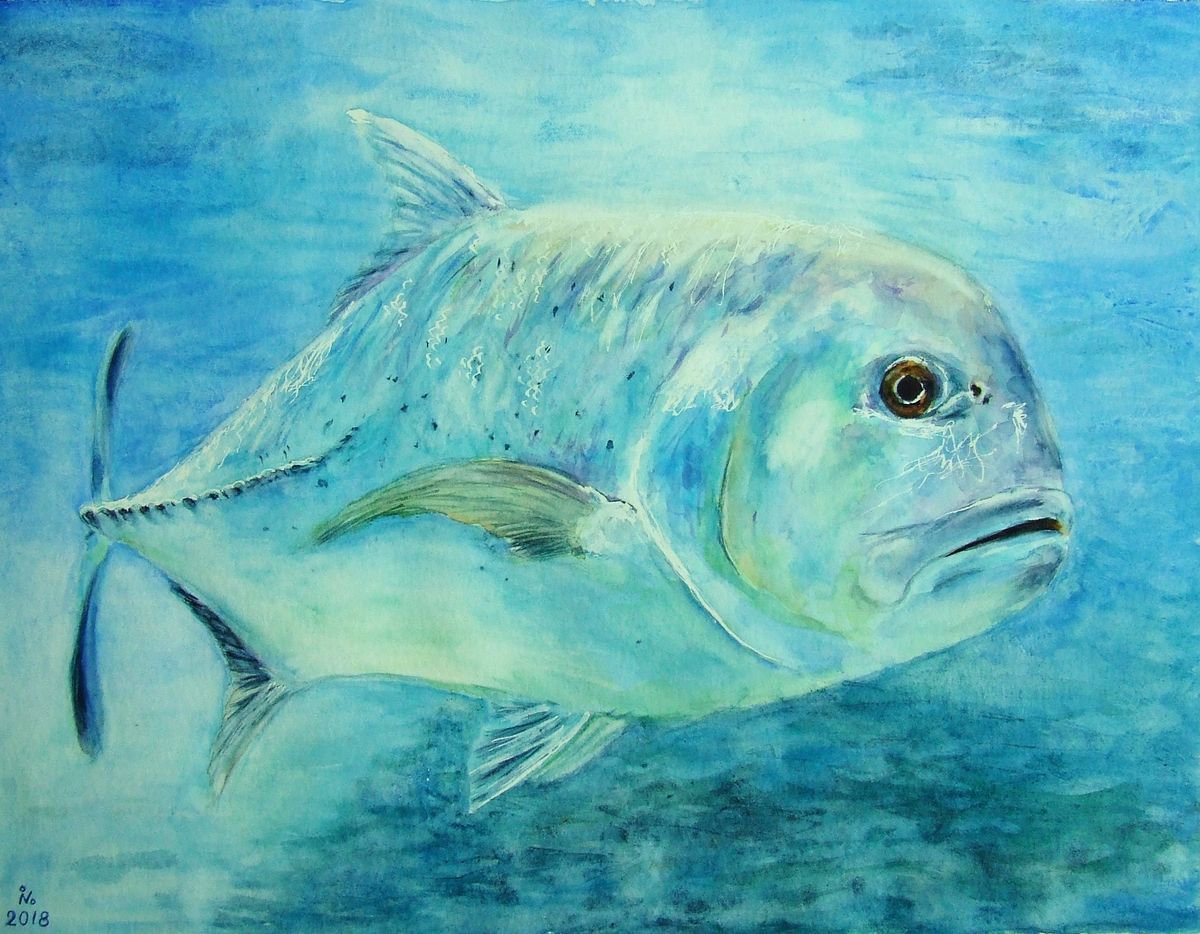 Giant Trevally Watercolour by Ilona Borodulina | Artfinder