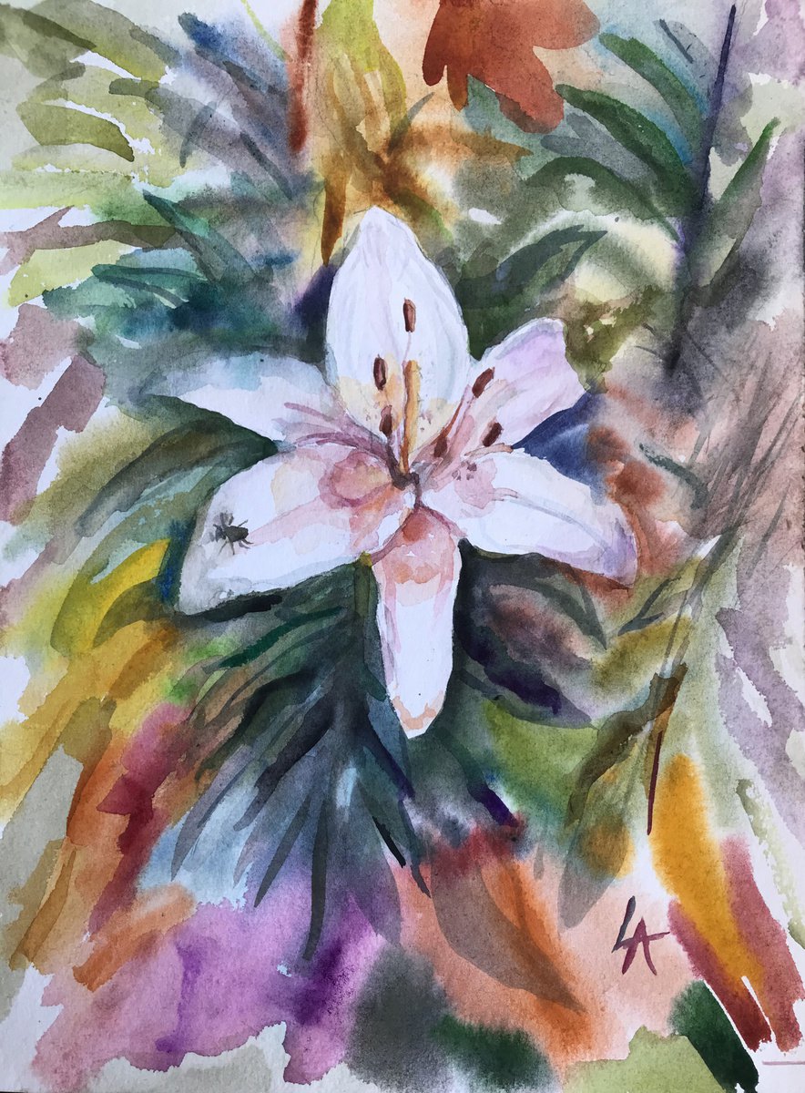 White lily by Elena Lykhodid