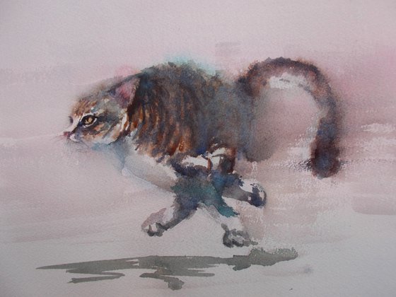 running cat 2
