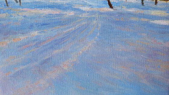 Shadows Of Sunny February