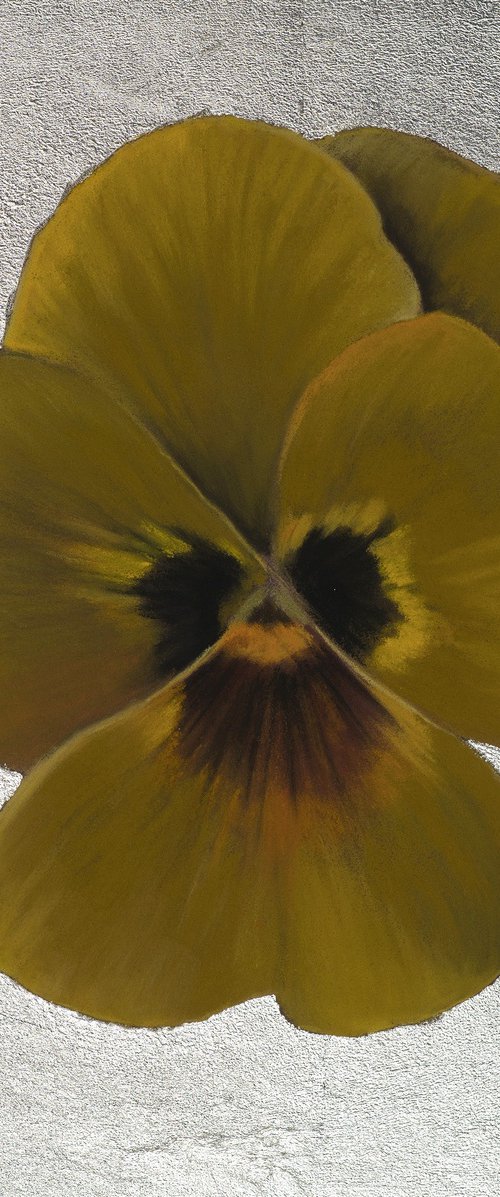 Pansy #10 by Oxana Babkina